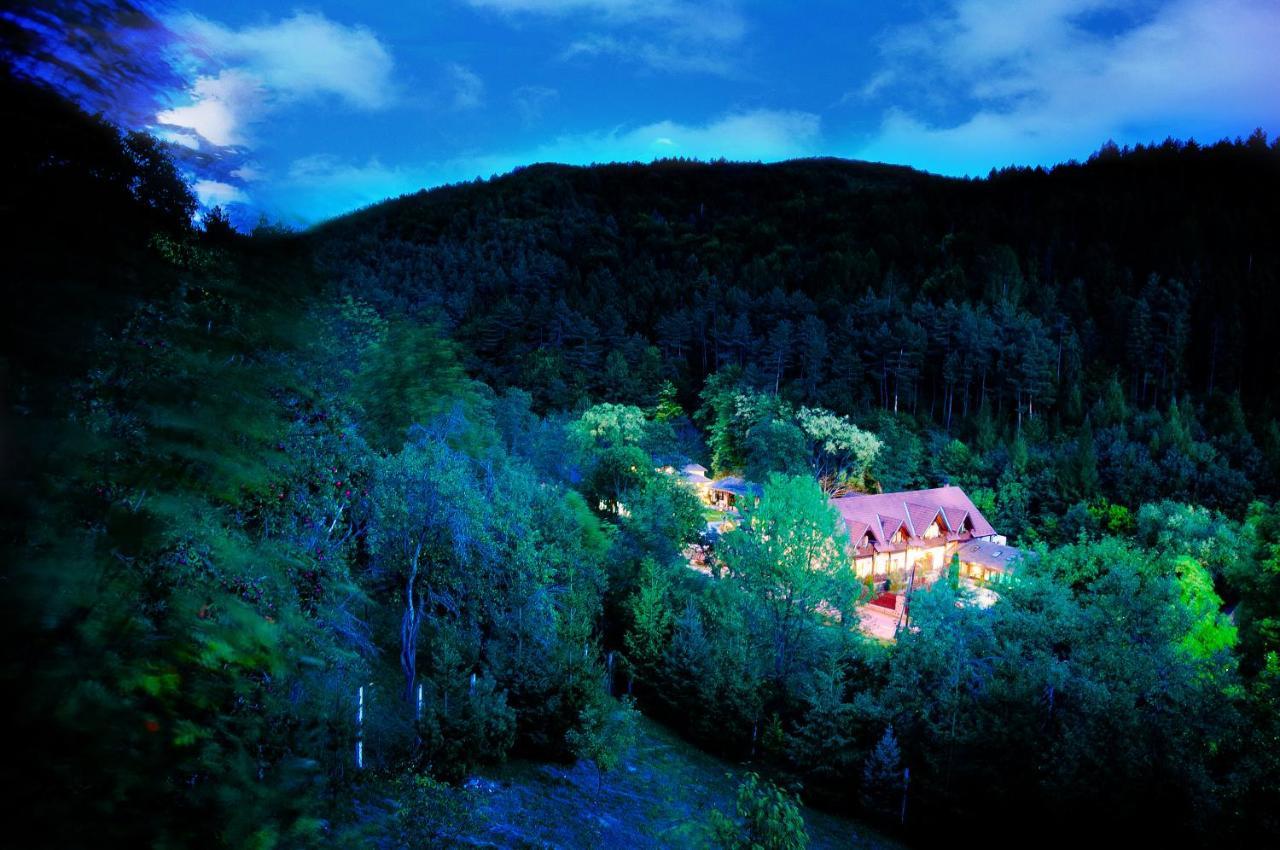 Hotel Aranygombos Fogado à Telkibánya Extérieur photo